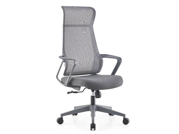 imagen_2025-07-11_162504436 imagen_2025-07-11_162504436